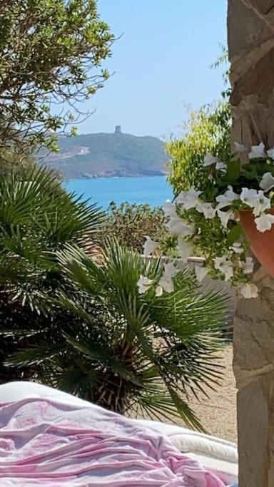 Villa Amea توري دي كورساري المظهر الخارجي الصورة